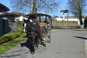 Best Drives Ireland 