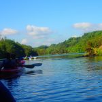 Kayak Safari West Cork