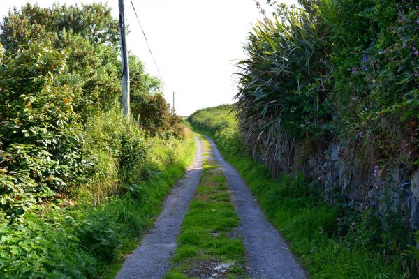 Best Island Trips Ireland