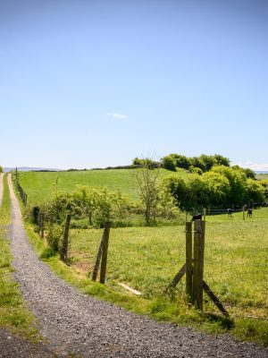 Farmstay in Mayo, Ireland