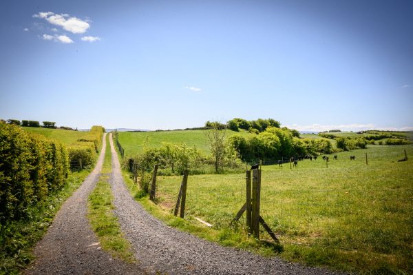 Farmstay in Mayo, Ireland